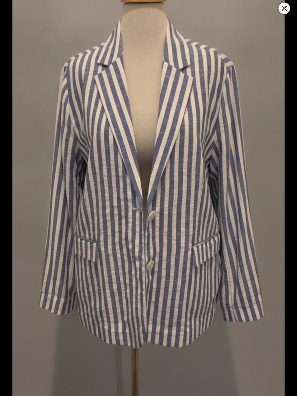 Nation LTD Blue and White Striped Blazer Size L